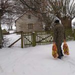 Dystrybucja ywnoŤci