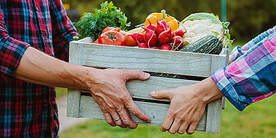 csm krotki lancuch dostaw cbcdcb