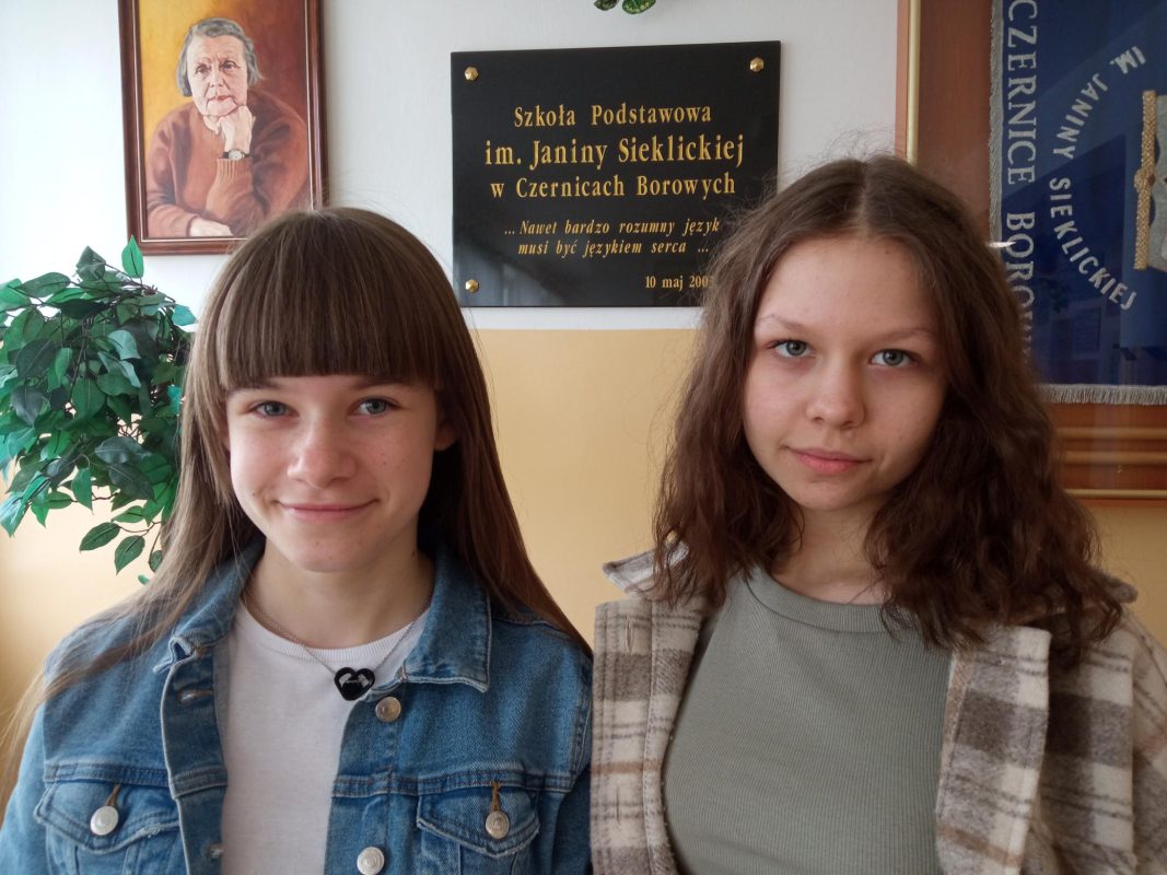 MicrosoftTeams image