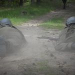 Terytorialsi szkol¦ů kadet w OPW scaled