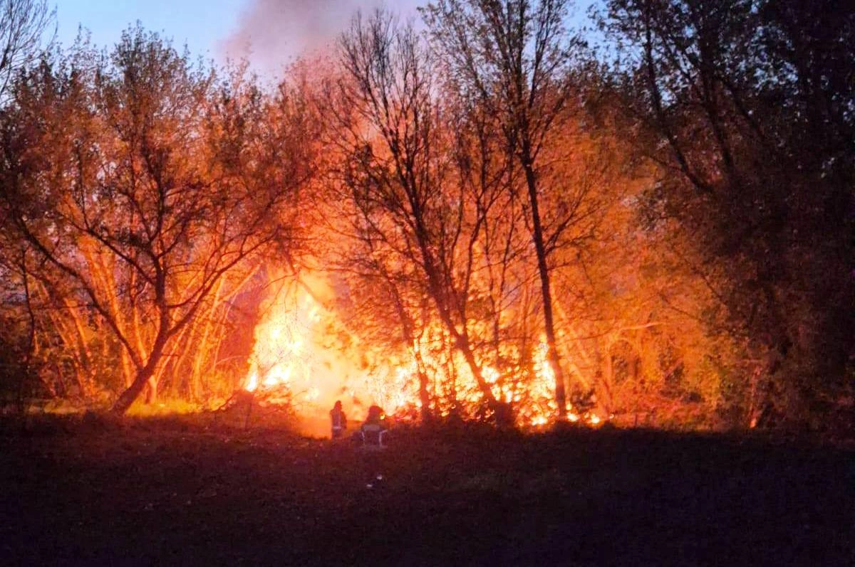 Pożar przy ul. Piłsudskiego w Przasnyszu - interwencja straży pożarnej