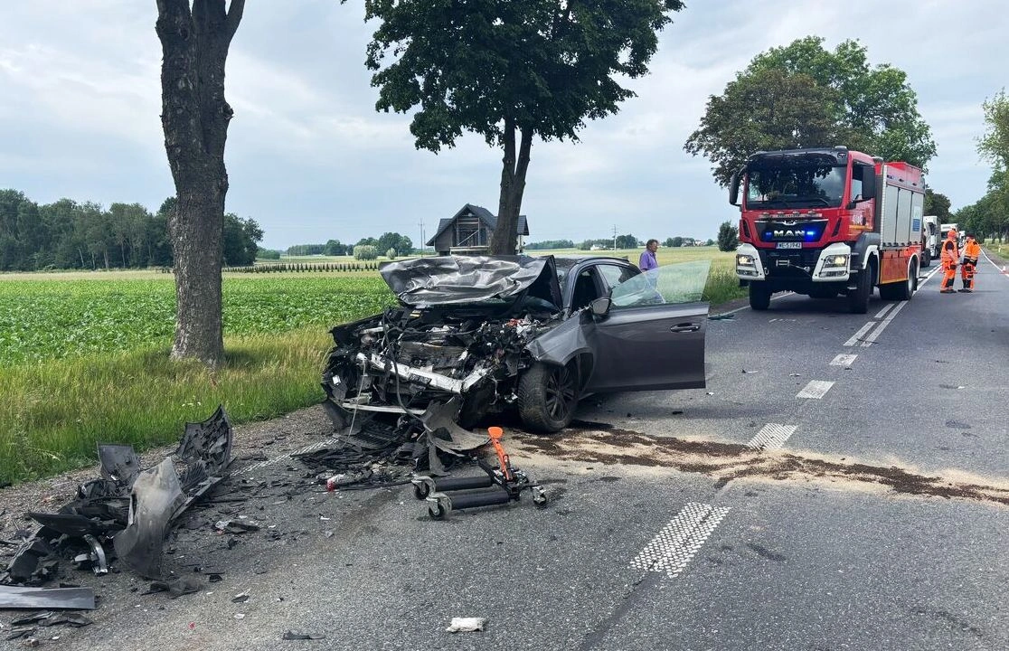 Kierowca z Płońska w kolizji na drodze krajowej nr 50