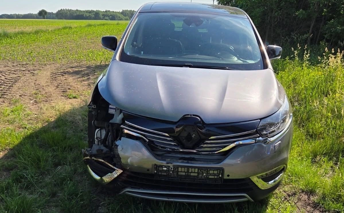 Zdarzenie drogowe w Sierakowie z udziałem sarny