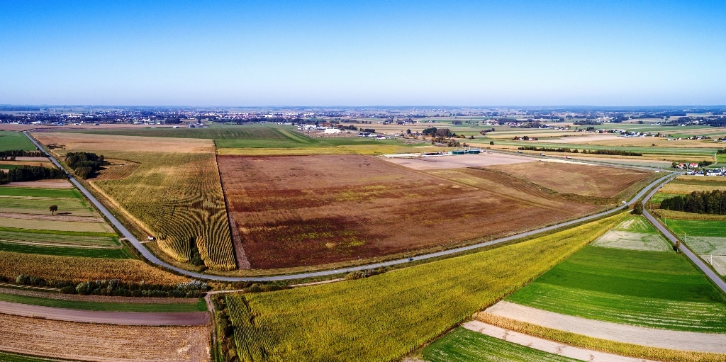 Dzierżawa ziemi rolnej w Sierakowie - przetarg na 3,6 hektara