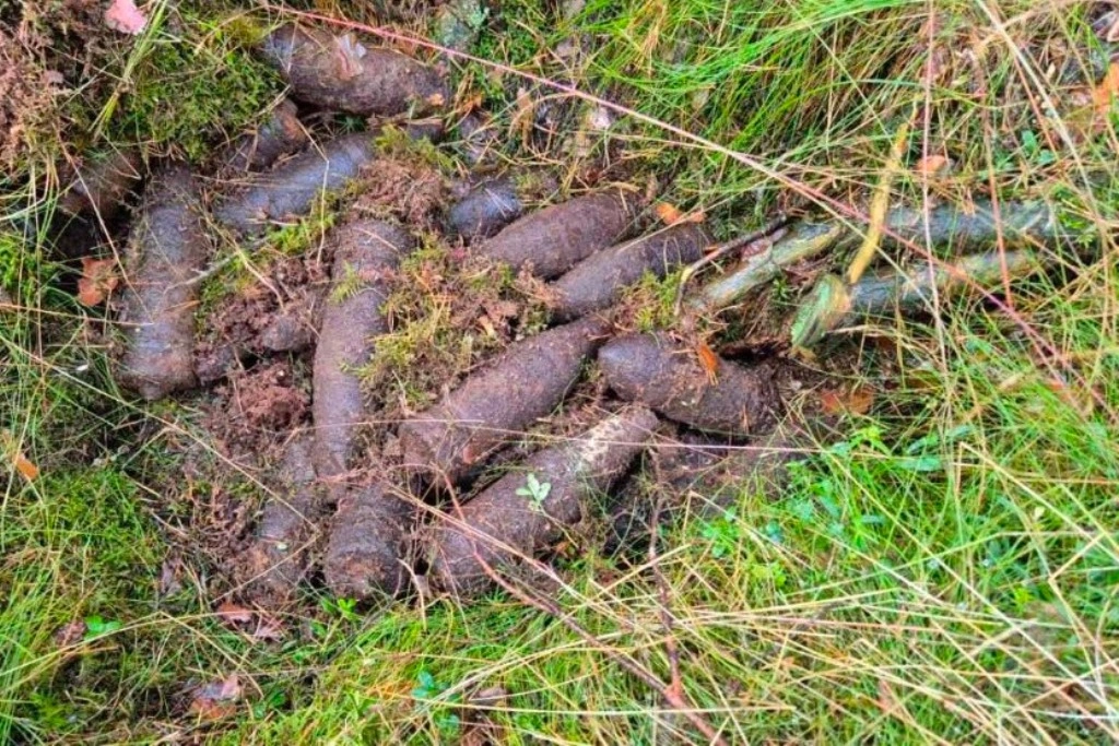 pociski z II wojny światowej w lesie koło Wielbarka