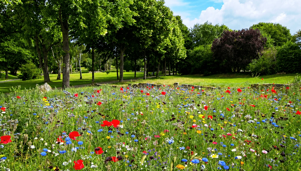 Nowy park w Chorzelach z punktem widokowym nad rzeką Orzyc