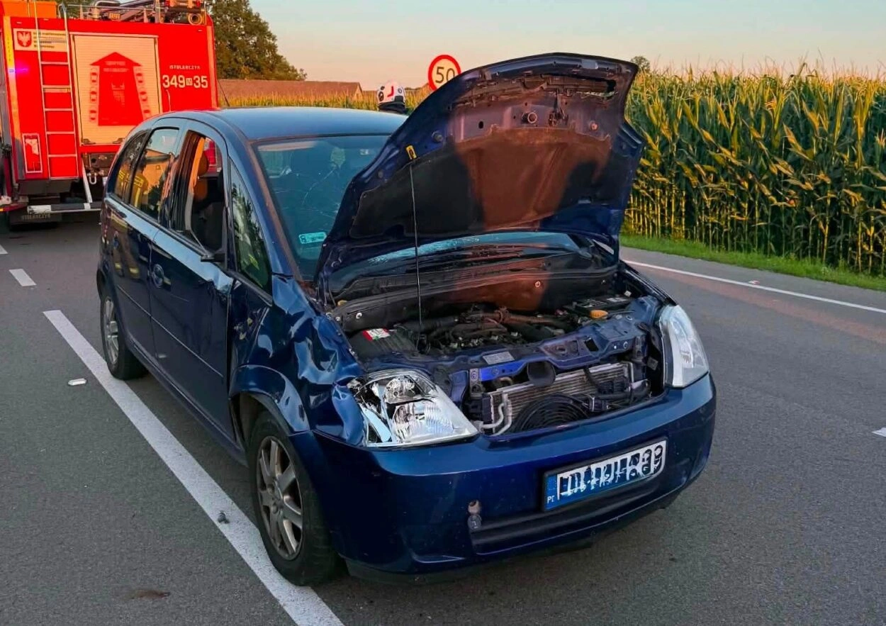 Kolizja z krową w gminie Baranowo