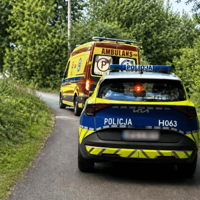 Tragiczny wypadek na drodze między Nową Wsią a Przystanią