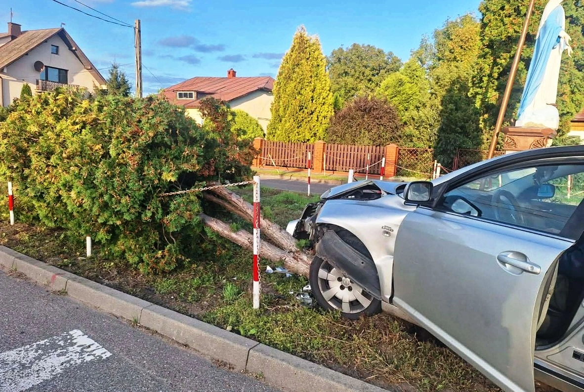 Pijany kierowca w Gąsewie po kolizji z tują